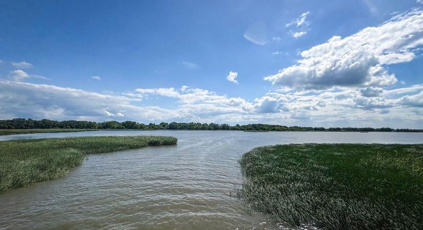 Kánikula: vészjósló jeleket találtak a Tisza-tavon. Veszélyben a tározó halai?