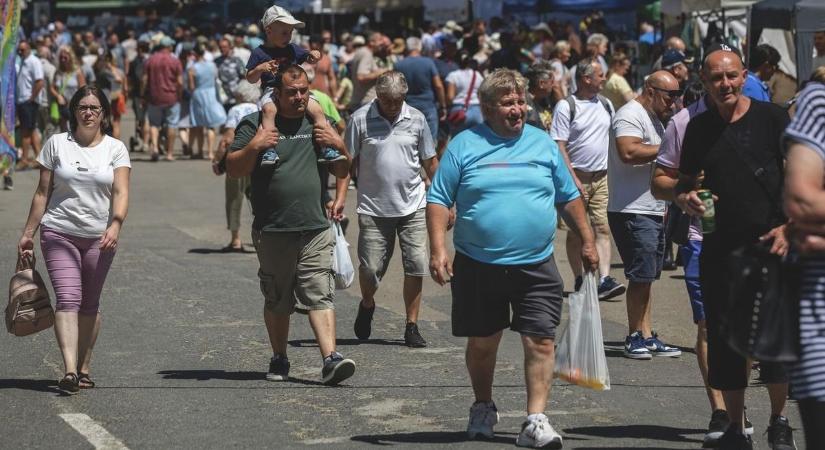 Rengeteg szabadtéri ingyenes program lesz Hajdú-Biharban a hétvégén! Nem érdemes kihagyni