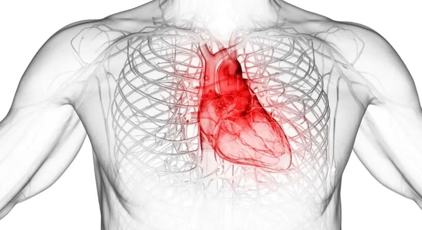 7 figyelmeztető jel a hirtelen szívhalál előtt – ezeket mindenkinek ismernie kell