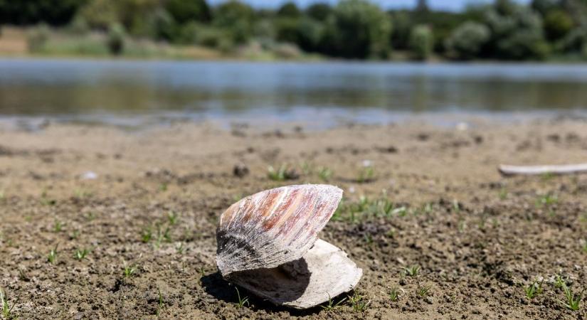 Tiltott kincsek a vízparton - óriási büntetést fizetsz a strandon, ha nem figyelsz!