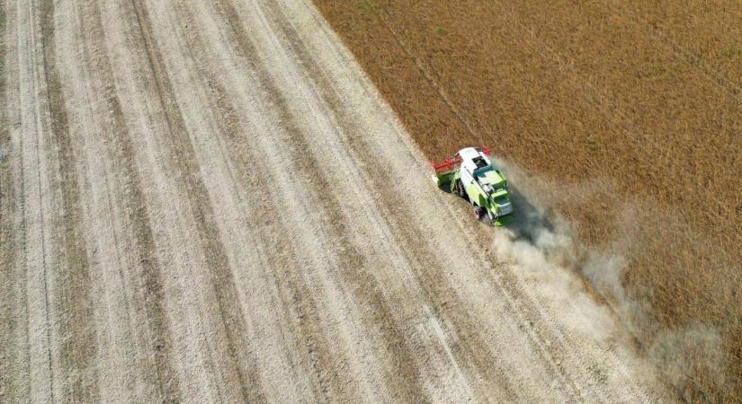 Vendégmunkás-stop: attól tartanak a gazdák, hogy nem lesz, aki elvégezze a munkát
