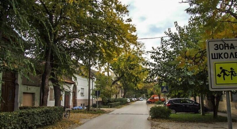 Nincs meg a koalíciós többségi akarat a helyi közösségi választások kiírásához
