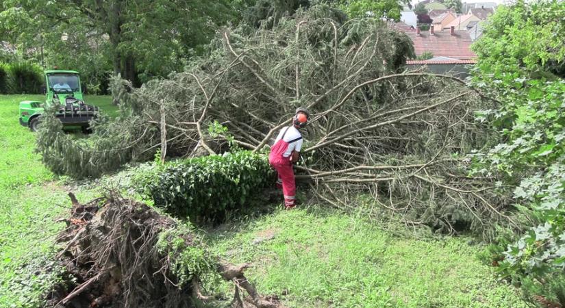 Kidőlt fák, leszakadt ágak, elárasztott pincék kísérték a vihar útját