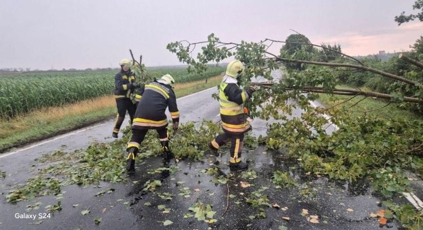 Több mint 30 viharkár - Fakidőlésekhez is vonultak a tűzoltók - fotók