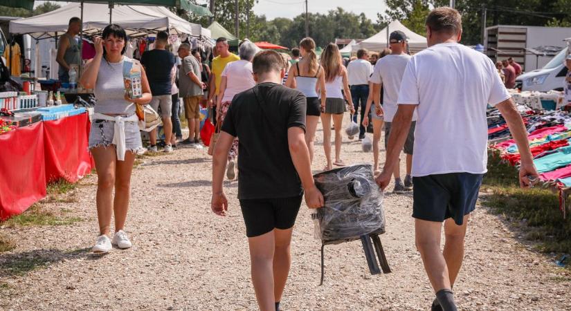 „Ez a papagáj 25 fokig beszél” – forróság és rengeteg áru a júliusi ónodi vásárban, fotón, videón mutatjuk