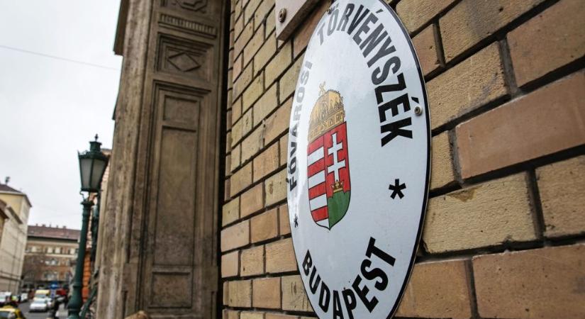 Fővárosi Törvényszék a Doktor24 felszámolásáról: A bíróság az adós fizetésképtelenségét állapította meg