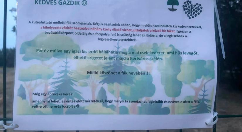 Gondos gazdi tett locsolóvödröt a Somogyi-domb melletti kutyafuttatóhoz