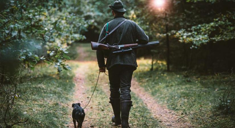 Új szabályok jöhetnek a vadgazdálkodásban – ezt minden vadásznak és földtulajdonosnak érdemes ismernie