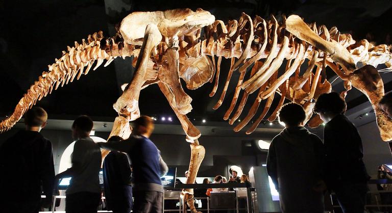 Egy fiók mélyéről került elő az egyik legkülönlegesebb dinoszaurusz-lelet