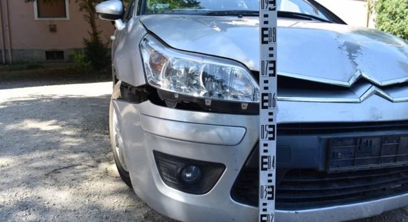 Egy fa állította meg az ittas pápai sofőrt