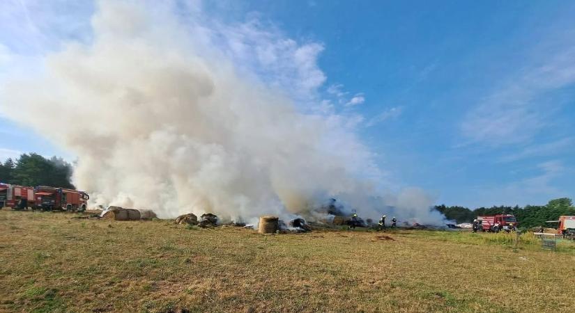 300 lucernabála égett Nagytevel határában, segítséget kér a gazda fotók