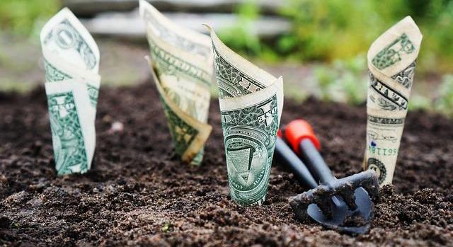 Az agrár- és vidékfejlesztési támogatások összege elérte a 487,7 milliárd forintot az első negyedévben