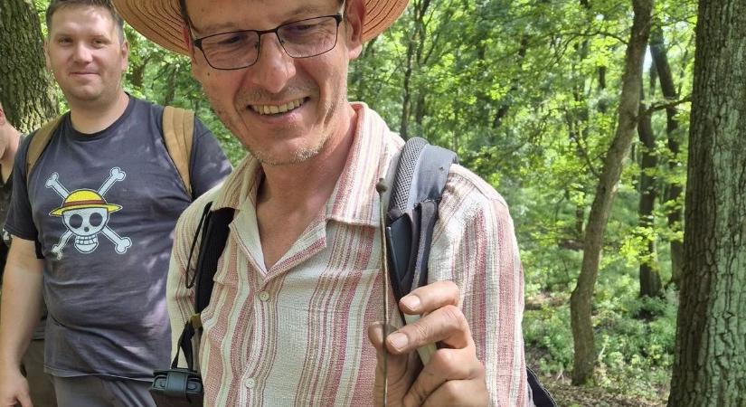 Ilyen volt a Bakony Odüsszeusz idejében: újabb ősi kincsek a legendás hegy mélyéből fotók, videó