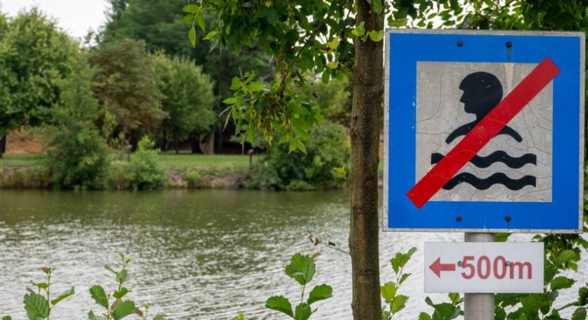 Illegális fürdőzők mentették meg a kerekesszékes férfi életét: a rendőrség azonnal figyelmeztetést adott ki