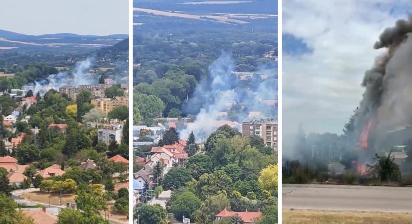 Szabadtéri tűzesethez riasztották a tűzoltókat Esztergomban