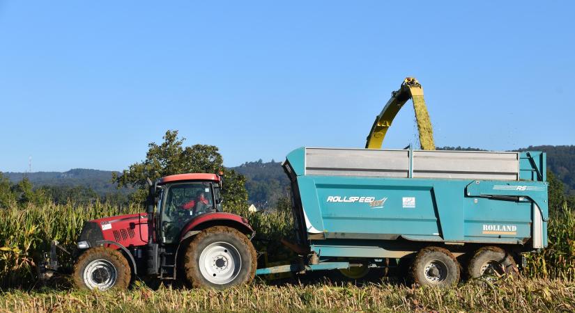 Alkalmazkodás vagy lemaradás, kihívások és technológiai váltás a takarmányozásban