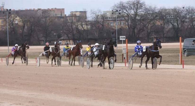 Hétvégén lesz a Kincsem Park legfontosabb hétvégéje, a Derby és a Divat Fesztivál