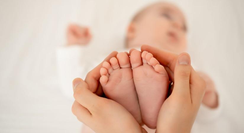 Bajai anyakönyvi hírek