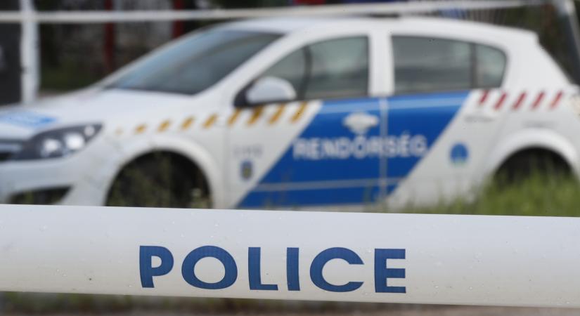 Ragasztószalaggal gyilkolta meg a volt nejét, a kiérkező rendőröket pedig fel akarta robbantani egy somogyi férfi