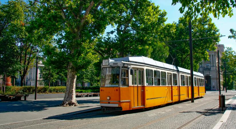 Beköszöntött a földi pokol a budapesti tömegközlekedésen: több tucat villamoson állt le a légkondicionálás