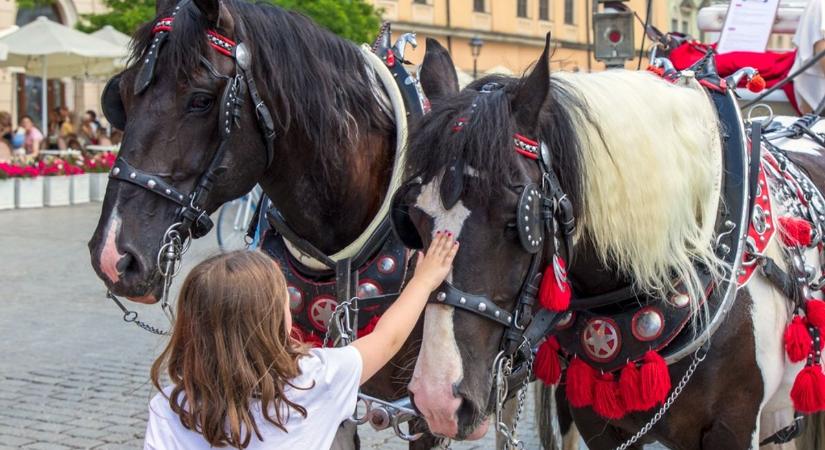 Itt vonulnak végig a feldíszített fogatok Mórahalmon – mutatjuk az útvonalat