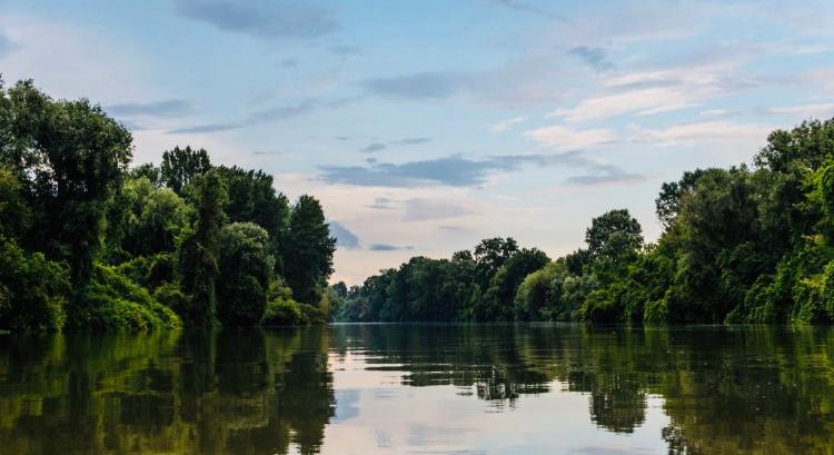 Magyarkanizsánál a Tisza vízminősége megfelel az előírásoknak