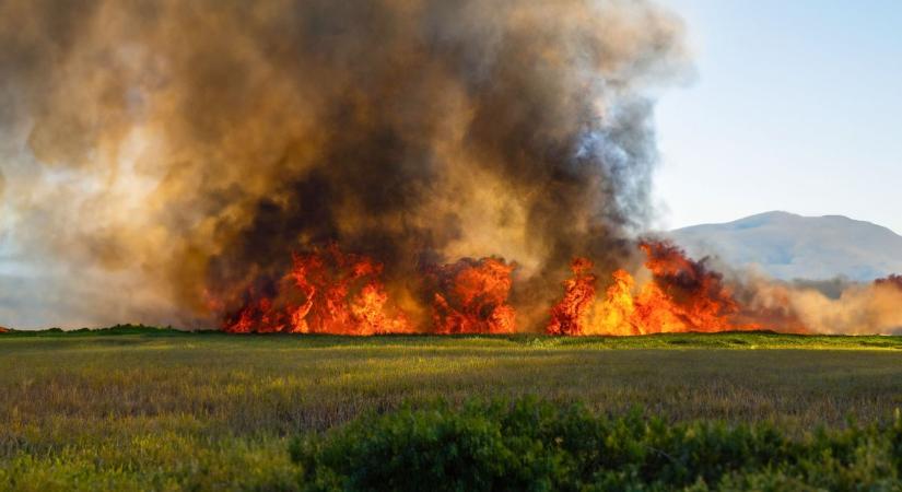 Óriási tűz van a Balaton mellett, az M7-es autópályát is ellepte a füst