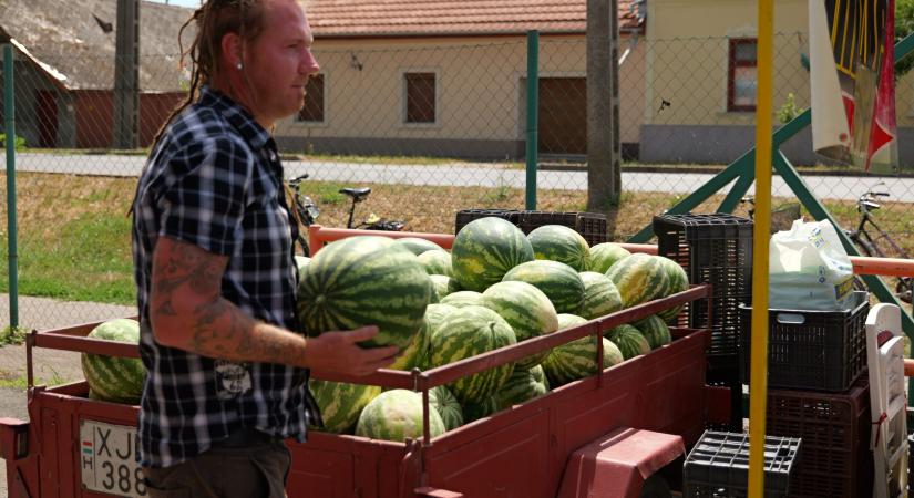 Már magyar dinnyét is lehet venni a vásárhelyi piacon