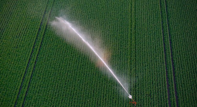 Kamarai segítség a mezőgazdasági vízgazdálkodás kérdéseiben
