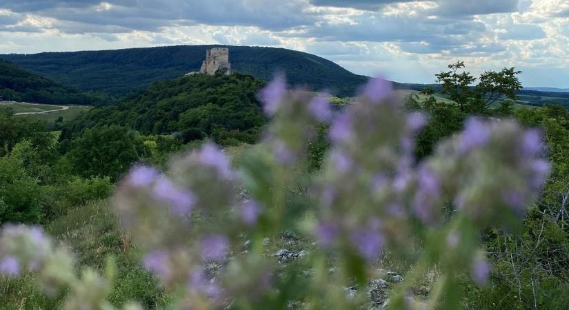 Zsíroskenyértől tűztáncig: 31 remek hétvégi bakonyi program családosoknak is ( képek)