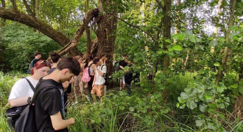 Kevesen tudják, milyen természeti kincs rejtőzik Nyíregyházán– a diákok testközelből fedezték fel
