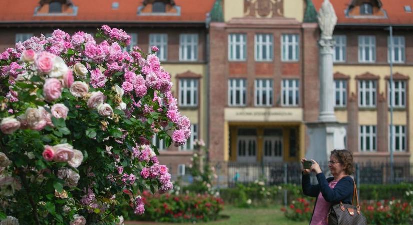 Minden szem Kecskemétre szegeződik, nemzetközi zsűri dönt Európa legszebb városáról