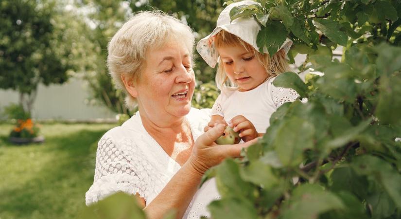 Hová tűntek a mamás nyarak?