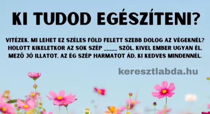 Irodalom feladat: Egy katonaének, emlékszel még a hiányzó szóra?