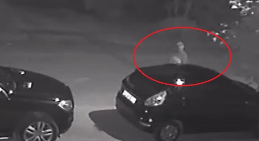 Autókat akarnak feltörni Szombathely utcáin, videón a megbotránkoztató eset