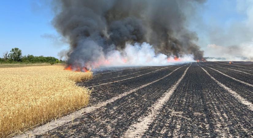 Hatalmas területen ég a gabona, két város tűzoltói küzdenek a lángokkal