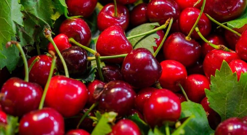 A rengeteg gyümölcs lett a gazdák veszte?