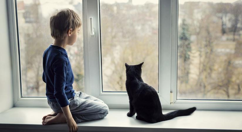 Nem kell minden nap program: ezért fontos, hogy a gyerek néha unatkozzon