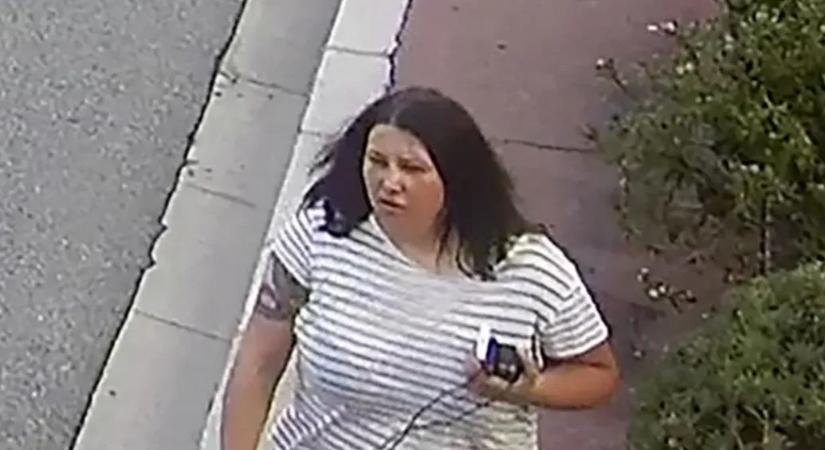 Férfinak álcázta magát a monacói robbantás feltételezett elkövetője, az Interpol elfogatóparancsot adott ki ellene