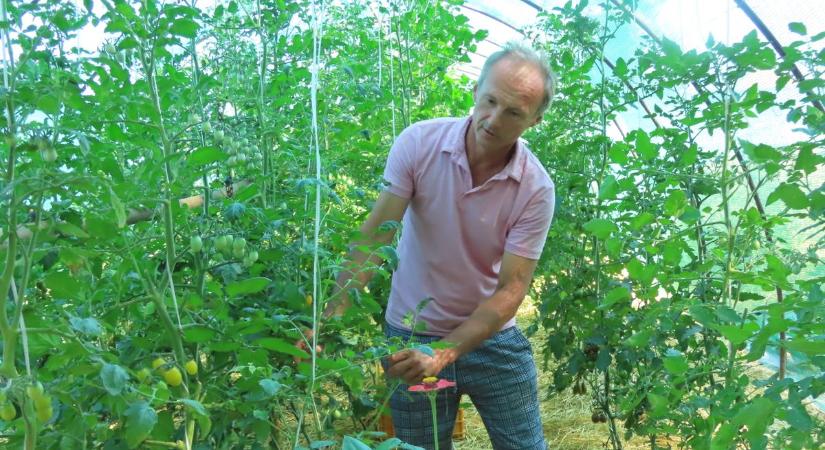 El kell költöznie a legendás biokertnek, milliókra lenne szüksége az újrakezdéshez