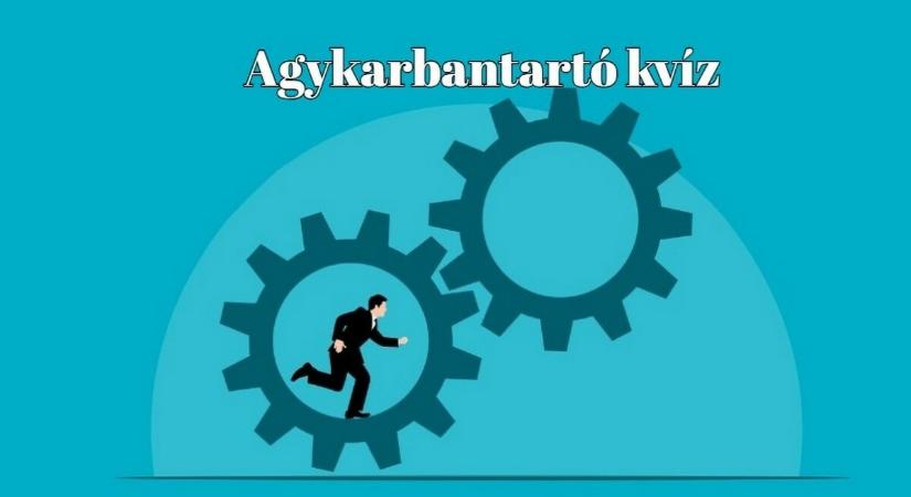 Új agykarbantartó kvíz - Juttasd magad sikerélményhez műveltségi kvízünk lejátszásával