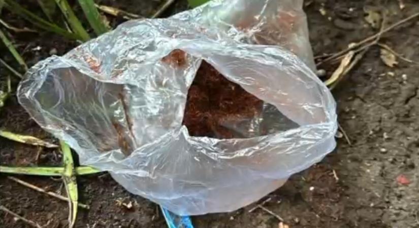 Hiába dobták ki az ablakon a kábítószert, a rendőrök mindent láttak