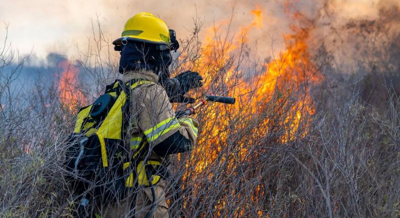 Kigyulladt egy erdő aljnövényzete Lajosmizsénél – civilek is segítik az oltást (frissítve)