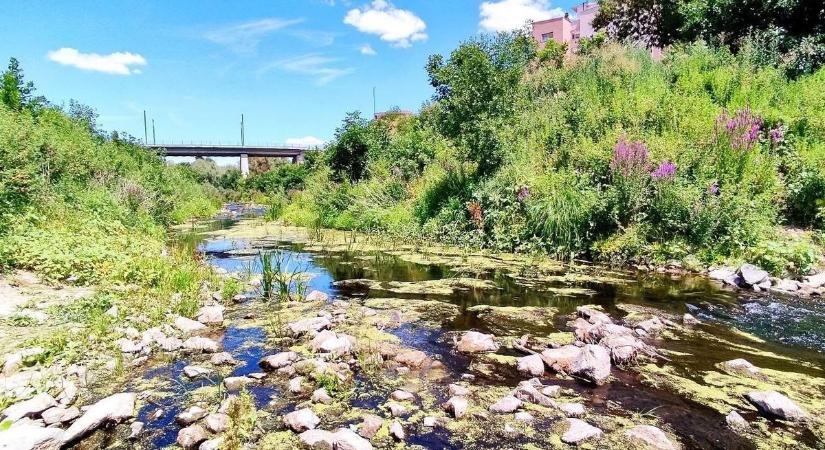 Előbukkantak a folyóágy kövei Szolnokon, bármelyik órában megdőlhet a negatív rekord
