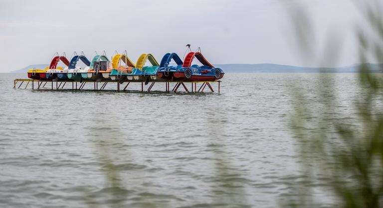 Térfigyelő kamera rögzítette a Balatonba fulladt Csoki utolsó pillanatait