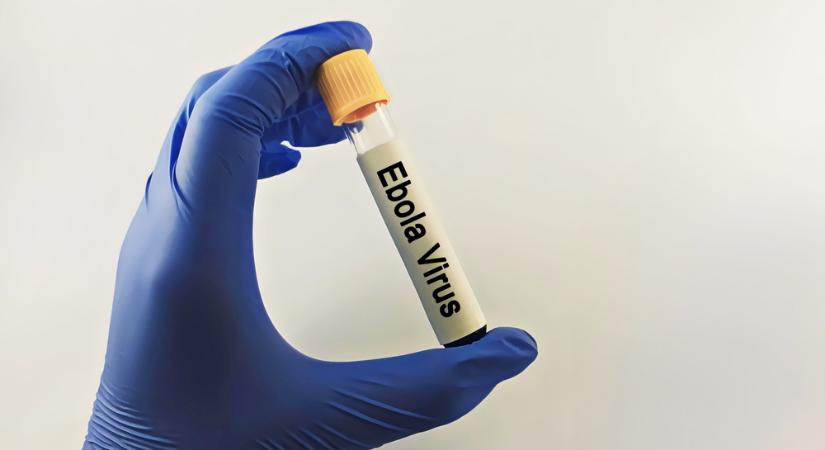 Ebolából visszatérve: élve távozott a kórházból az első francia beteg