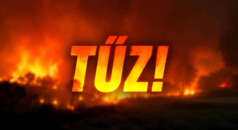 Lángol a Szurkos tanya környéke! Vízszállítók és munkagépek is érkeztek!