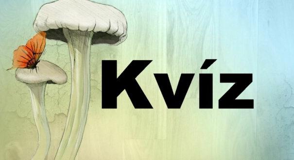 Nyolc kvízkérdés: Nyolc jó kattintás és egy kis mosoly (501)
