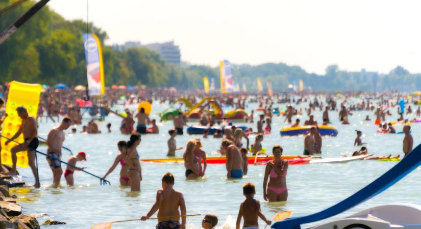 Ilyen veszélyes állatok élnek a Balatonban – Mérges csonttüskéi is vannak az egyik halnak