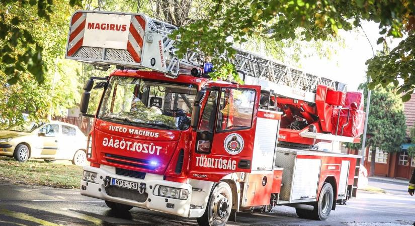 Akár hatvan nap elzárást és százezres bírságot is kaphatnak a jászkunsági kamu segélyhívók